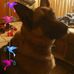 Randy Slater - Facebook