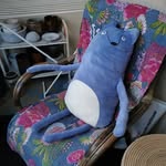 Randy Fox - @randy_the_sly_blue_fox - Instagram
