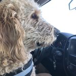 Randy Speer - @shakespeer13 - Instagram