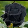 🖤🖤 - @speicher.04 - TikTok