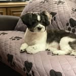 Randolph Speight - @randspeight - Instagram