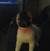 Randy Sprinkle - Facebook