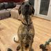 Randy Stahl - Facebook