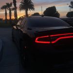 Randy Stahlhammer - @randystahlhammer - Instagram