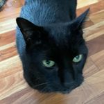 Randy Staley - @pens667187 - Instagram