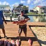 Randy Starnes - @starnes_randy - Instagram