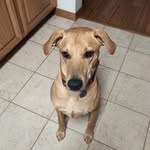 Randy Starnes - @starnes.randy - Instagram