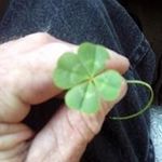 Randy Steele - @randy.steele.3154 - Instagram