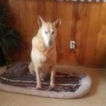Randy Stegall - @randystegall - Instagram