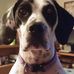 Randy Stephens - Facebook