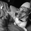 Randy Stepp - @randy.stepp - TikTok