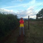 randystepper - @randystepper - Instagram