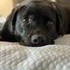 randystilley72 - @randystilley72 - TikTok
