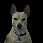 Randy Stogsdill - @randal.stogsdill - Instagram
