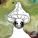 buddy - @strangepostrandy - Instagram