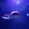 Randy Strange - @randy.strange5 - TikTok