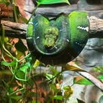 Randy Stratton - @strattonrandy76 - Instagram