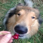 Andy - @strawberandy - Instagram