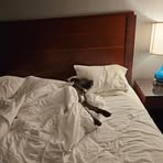 Randy Strawhacker - Facebook