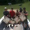 randystrohl - @randystrohl - TikTok