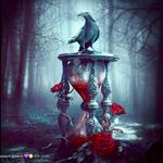 Randy Stull - @randy.stull - Instagram