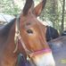 Randy Swager - Facebook
