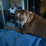 Randy Swift - @randy.swift.524 - Instagram