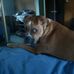 Randy Swift - Facebook