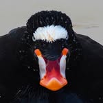 Randy Talley - @rt41959 - Instagram
