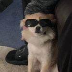 Randy Thill - @randy.thill1 - Instagram