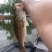 Randy Thrower - Facebook
