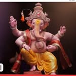 @tiger__randy_ - Instagram