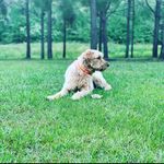 Randy tillery - @randyman_19 - Instagram