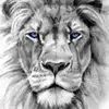 randy tillery - @randytillery12 - TikTok
