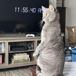 Randy Tilley - @tilley2348 - Instagram
