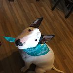 Randy Tilley - @tilleyrandall - Instagram