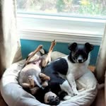 Randy Tindall - @tindall_randy - Instagram