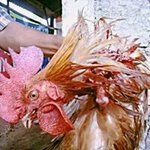 Randy Otong - @randy_otong - Instagram