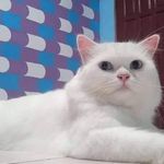 Randy Tong Tong - @randytongtong - Instagram