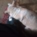 Randy Tressler - Facebook