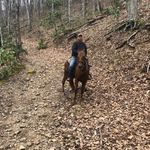 Randy Trull - @tsmelectric2023 - Instagram