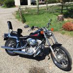 Randy Turk - @randy_turk44 - Instagram