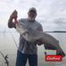 Randy Tye - Facebook