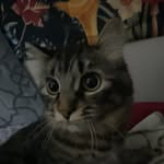 Brooklyn Wilmot - @randy._butternubs - Instagram