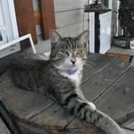 kaydden pethtel - @randy.butterknubs - Instagram
