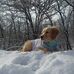 Randy Van Dyke - Facebook
