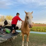 Randy Varney - @randyvarney2 - Instagram