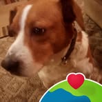 Randall Ray Venable - Facebook