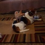 Randall Venable - @rand_y3250 - Instagram