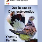Randy Vicente - @randy.vicente.5473 - Instagram